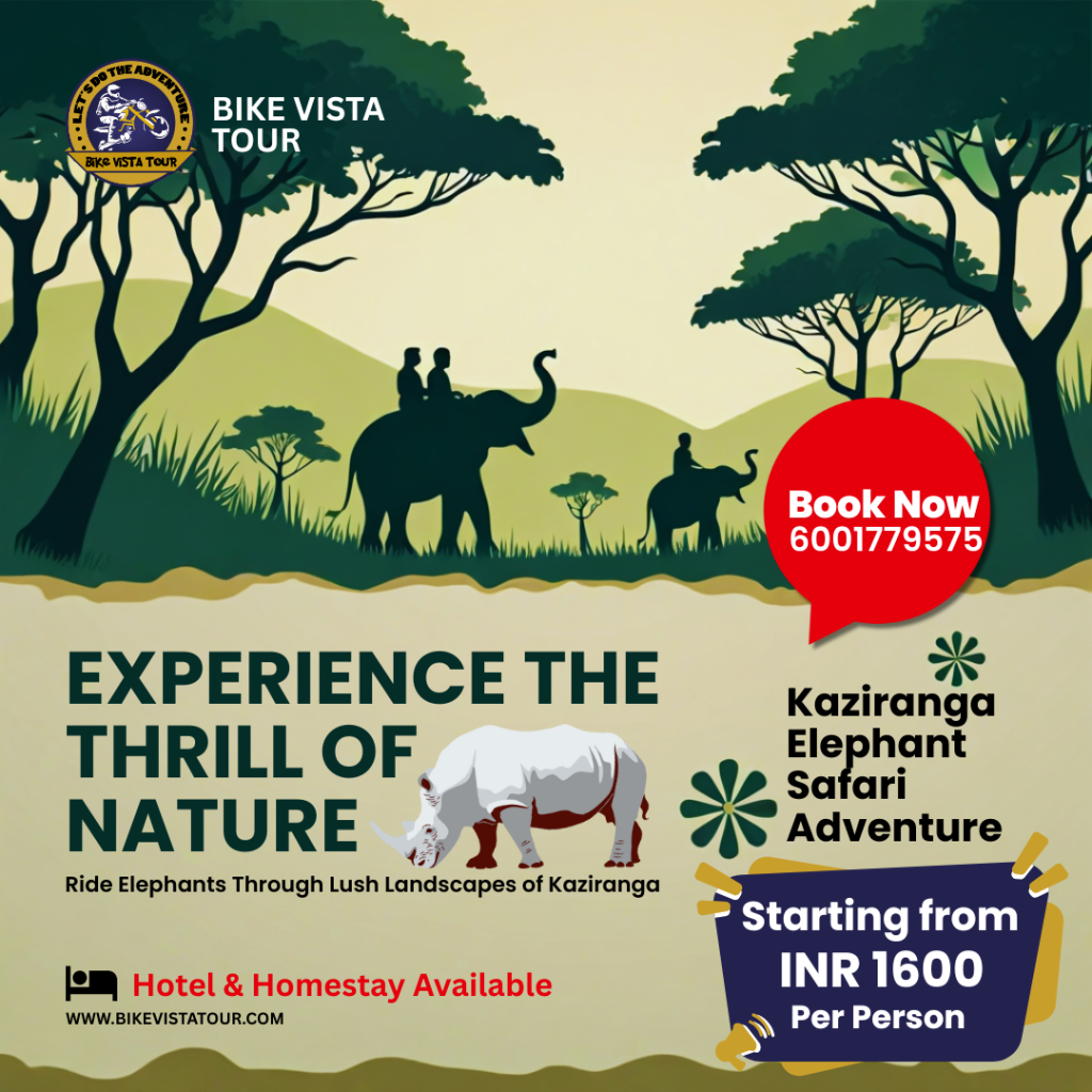Kaziranga Elephant Safari Adventure