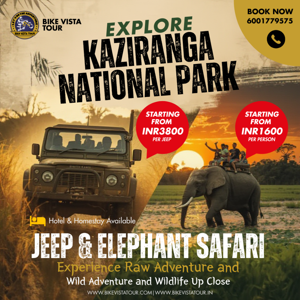 Kaziranga Safari_20251204_174139_0000